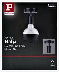 Paulmann 79760 - Mennyezeti lámpa HALDOR 1xE27/20W/230V