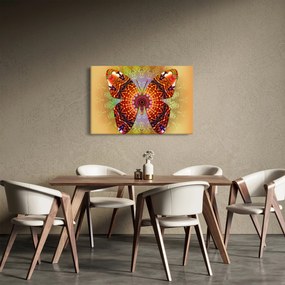 Kép - etno pillangó (90x60 cm)