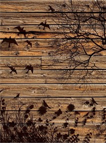 Fotótapéta Őszi erdő Madarak Fák Minimalizmus Vinyl 184x254 +ragasztó