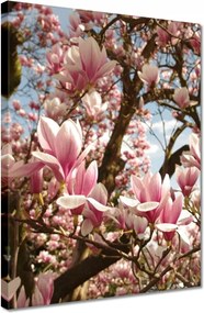 Vászonkép 30x40 Magnólia Virágok Kék