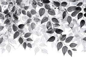 Fotótapéta fekete-szürke levelek modern fali dekoráció szürke fekete