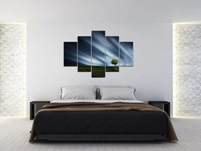 Az aurora borealis képe egy lápvidéken (150x105 cm)