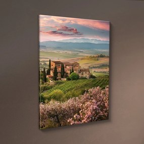 Kép 60x80 cm Pink Tuscany – Styler