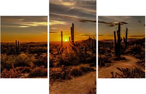 Kép - A nap vége az arizonai sivatagban (90x60 cm)