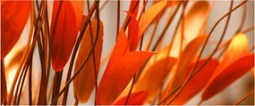 A szirmok képe (120x50 cm)