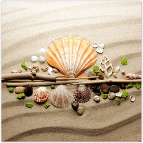Poszterek 140x140 KagylĂłk Tengeri homok