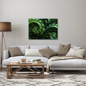 Kép - Spirálok (70x50 cm)