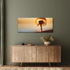 Egy pitypang képe naplementekor (120x50 cm)