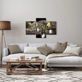 Kép - Hazudós macska (90x60 cm)