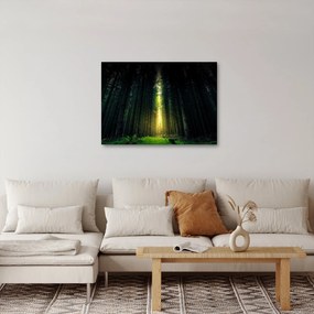 Sötét erdő képe (70x50 cm)