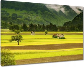 Vászonkép 100x70 Zöld őzek