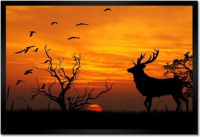 Poszterek keretben 60x40 Szarvas és naplemente