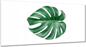 Vászonkép 115x55 Lyukas szörny levél