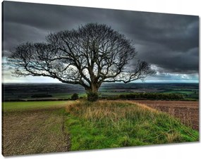 Vászonkép 100x70 Fa tájkép