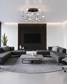 Aster - 2843-24-24