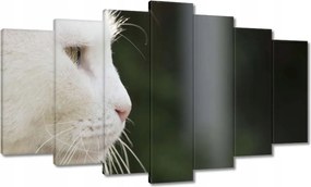 Vászonkép 140x80 Macska tekintet Cica