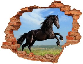 Lyuk 3d fali matrica Fekete ló a réten nd-c-26473191