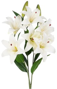 Művirág (magasság 59 cm) Lily – Ixia