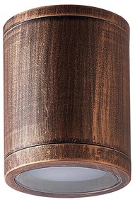 Prezent 48333 - Kültéri MOPTI spotlámpa 1xE27/12W/230V bronz IP54