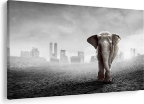 Kép -Elefánt egy nagyvárosban, fekete-fehér változat (90x60 cm)