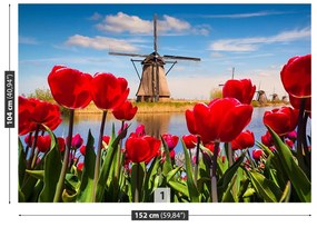 Fotótapéta Hollandia szélmalmok 104x70 cm