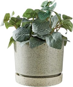 PLANT kaspó alátéttel Ø20cm