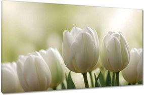 Vászonkép 120x70 Fehér tulipánok