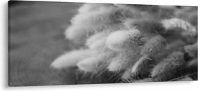 Kép - nyúlfarknyi fű az asztalon (120x50 cm)