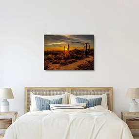 Kép - A nap vége az arizonai sivatagban (70x50 cm)