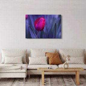 Tulipán bimbó képe (90x60 cm)