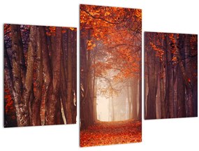 Kép - őszi erdő (90x60 cm)
