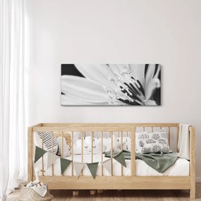 Kép - Fekete-fehér virág (120x50 cm)