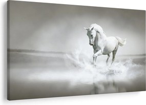 Kép - Fehér ló (90x60 cm)
