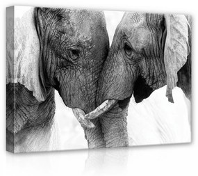 Elefántok, vászonkép, 70x50 cm méretben