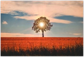 Poszterek 120x80 Kilátás Tájkép