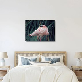 Kép - Flamingó (üvegen) (70x50 cm)