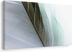 Kép - Tollak, makro (90x60 cm)