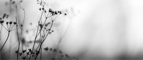 Kép - Réti virágok részlete (120x50 cm)