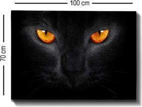 Kanvas vászonkép, 70×100 cm – TR529TCR1599