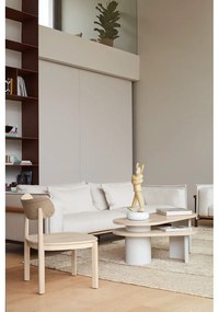 Fehér dohányzóasztal kőrisfa dekorral 120x50 cm Nori - Teulat