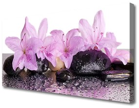 Canvas kép Víz liliom virágok Rosa 100x50 cm
