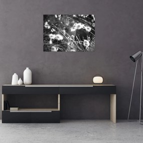 Kép - Pókháló a réten (70x50 cm)