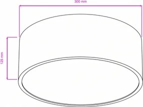 Brilagi - Fürdőszobai mennyezeti lámpa POOL 2xE27/15W/230V átm. 30 cm IP54 fekete