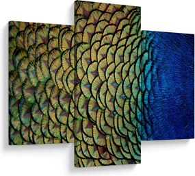 Kép - Pávatollak (90x60 cm)