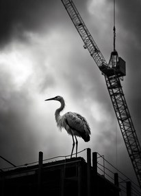 Poszter 13x18cm Magasan a horizont felett