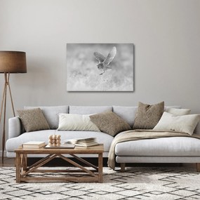 Kép - Bagoly, fekete-fehér (70x50 cm)