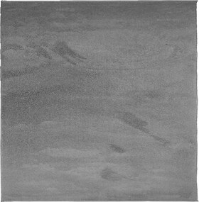 vidaXL OVIEDO antracitszürke rövid szálú szőnyeg 200 x 200 cm