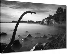 Vászonkép 100x70 Tengerpart éles sziklákkal