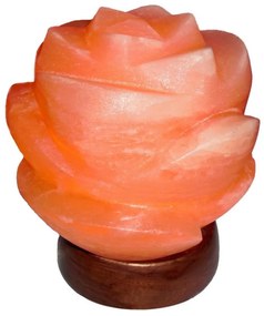 Rabalux 2676 - Sólámpa FLORES 1xE14/15W/230V