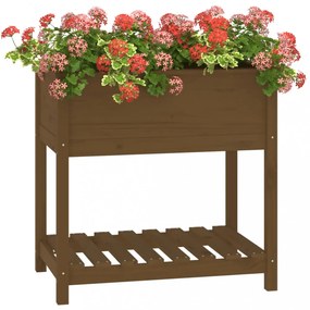 mézbarna tömör fenyőfa növénytartó polccal 82,5x54x81 cm